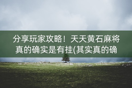 分享玩家攻略！天天黄石麻将真的确实是有挂(其实真的确实有挂)