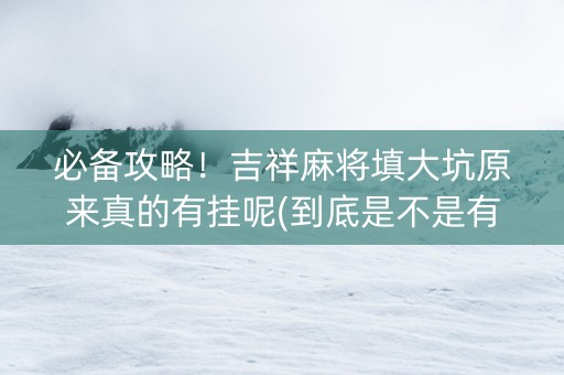必备攻略！吉祥麻将填大坑原来真的有挂呢(到底是不是有挂)