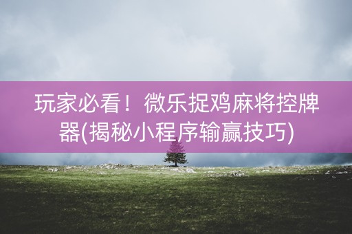 玩家必看！微乐捉鸡麻将控牌器(揭秘小程序输赢技巧)