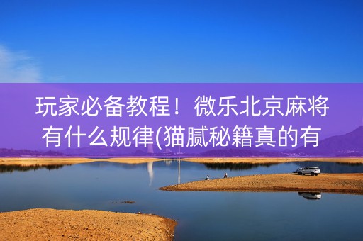 玩家必备教程！微乐北京麻将有什么规律(猫腻秘籍真的有挂)