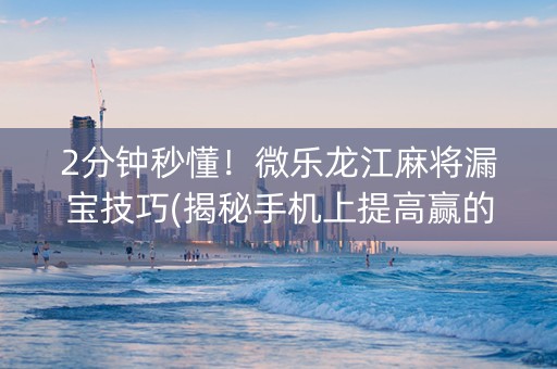 2分钟秒懂！微乐龙江麻将漏宝技巧(揭秘手机上提高赢的概率)