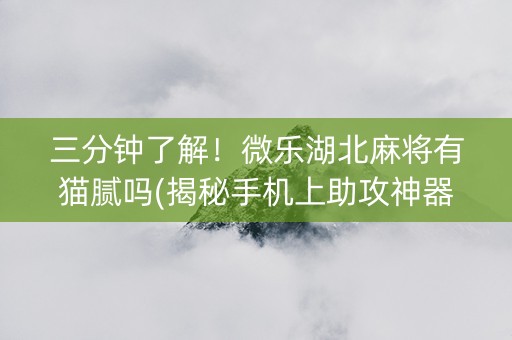 三分钟了解！微乐湖北麻将有猫腻吗(揭秘手机上助攻神器)