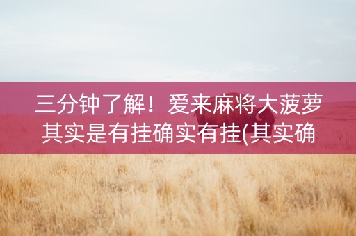 三分钟了解！爱来麻将大菠萝其实是有挂确实有挂(其实确实有挂)