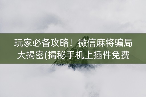 玩家必备攻略！微信麻将骗局大揭密(揭秘手机上插件免费)