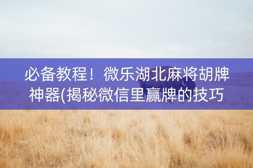 必备教程！微乐湖北麻将胡牌神器(揭秘微信里赢牌的技巧)