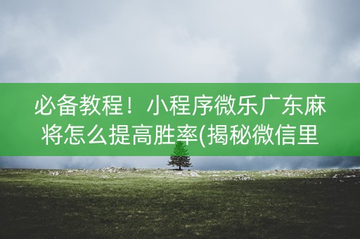 必备教程！小程序微乐广东麻将怎么提高胜率(揭秘微信里攻略插件)