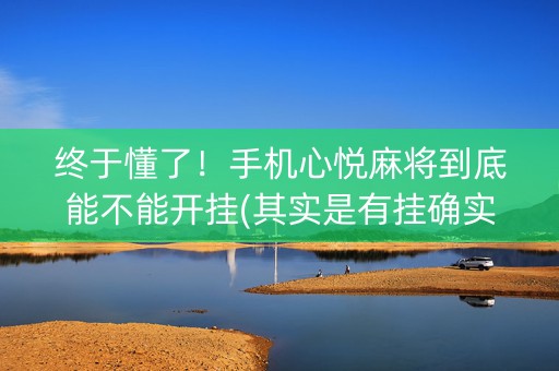 终于懂了！手机心悦麻将到底能不能开挂(其实是有挂确实有挂)