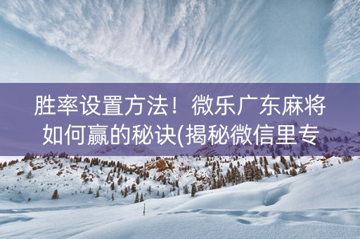 胜率设置方法！微乐广东麻将如何赢的秘诀(揭秘微信里专用神器下载)