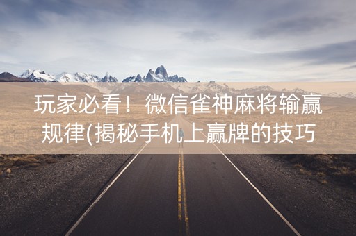 玩家必看！微信雀神麻将输赢规律(揭秘手机上赢牌的技巧)