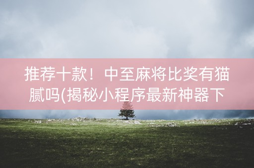 推荐十款！中至麻将比奖有猫腻吗(揭秘小程序最新神器下载)