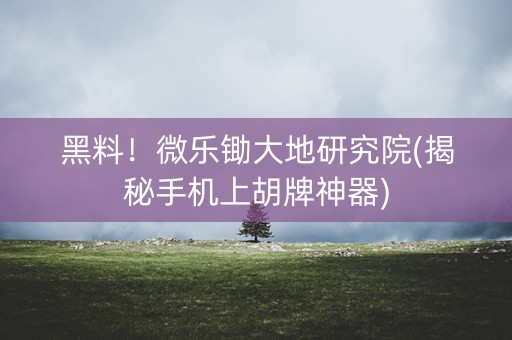黑料！微乐锄大地研究院(揭秘手机上胡牌神器)