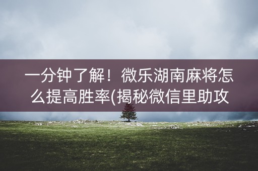 一分钟了解！微乐湖南麻将怎么提高胜率(揭秘微信里助攻神器)