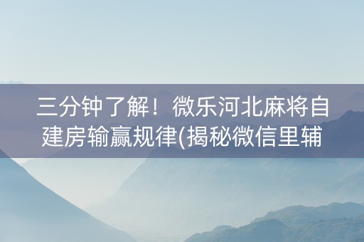 三分钟了解！微乐河北麻将自建房输赢规律(揭秘微信里辅牌器)