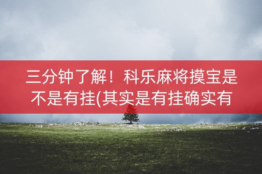三分钟了解！科乐麻将摸宝是不是有挂(其实是有挂确实有挂)