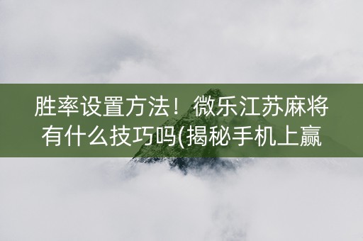 胜率设置方法！微乐江苏麻将有什么技巧吗(揭秘手机上赢的秘诀)