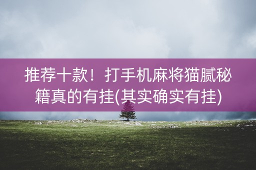 推荐十款！打手机麻将猫腻秘籍真的有挂(其实确实有挂)