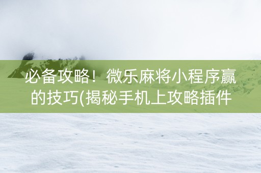 必备攻略！微乐麻将小程序赢的技巧(揭秘手机上攻略插件)