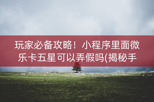 玩家必备攻略！小程序里面微乐卡五星可以弄假吗(揭秘手机上怎么容易赢)