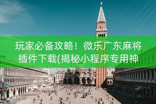 玩家必备攻略！微乐广东麻将插件下载(揭秘小程序专用神器)
