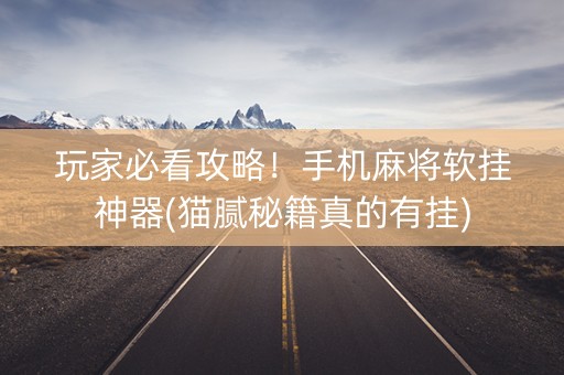 玩家必看攻略！手机麻将软挂神器(猫腻秘籍真的有挂)