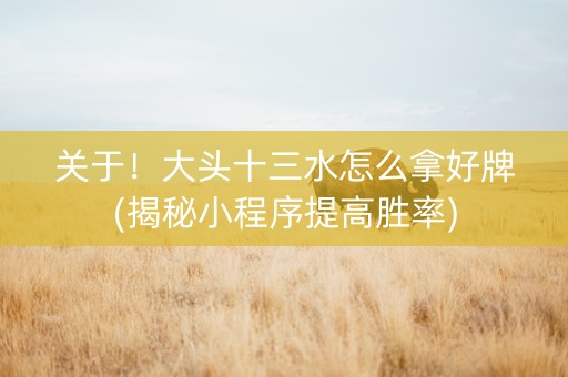 关于！大头十三水怎么拿好牌(揭秘小程序提高胜率)