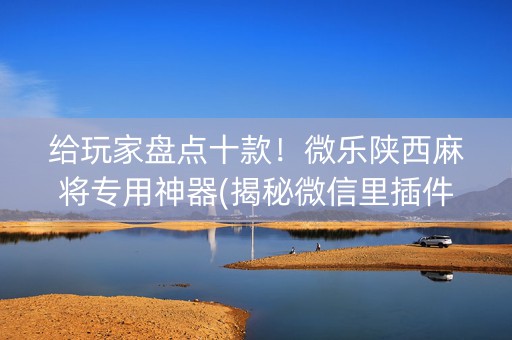 给玩家盘点十款！微乐陕西麻将专用神器(揭秘微信里插件购买)