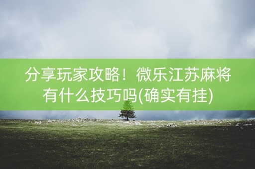 分享玩家攻略！微乐江苏麻将有什么技巧吗(确实有挂)