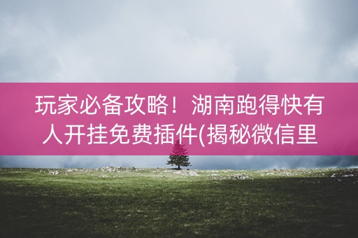 玩家必备攻略！湖南跑得快有人开挂免费插件(揭秘微信里提高胜率)