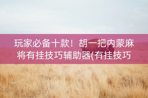 玩家必备十款！胡一把内蒙麻将有挂技巧辅助器(有挂技巧辅助器)