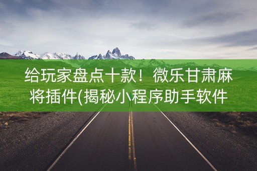 给玩家盘点十款！微乐甘肃麻将插件(揭秘小程序助手软件)
