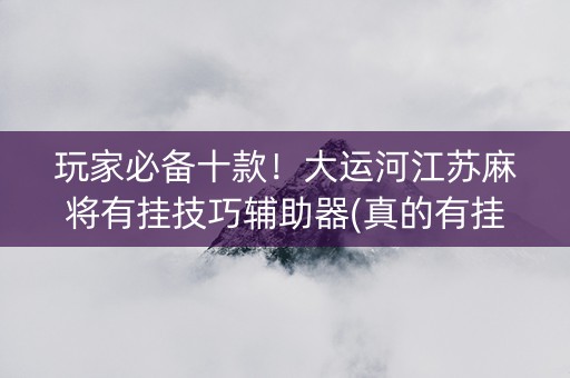 玩家必备十款！大运河江苏麻将有挂技巧辅助器(真的有挂)