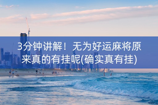 3分钟讲解！无为好运麻将原来真的有挂呢(确实真有挂)