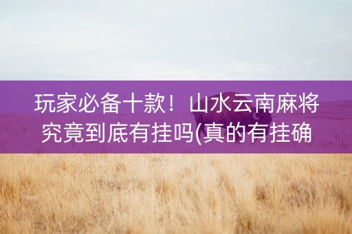 玩家必备十款！山水云南麻将究竟到底有挂吗(真的有挂确实有挂)