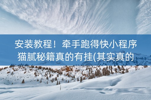 安装教程！牵手跑得快小程序猫腻秘籍真的有挂(其实真的确实有挂)