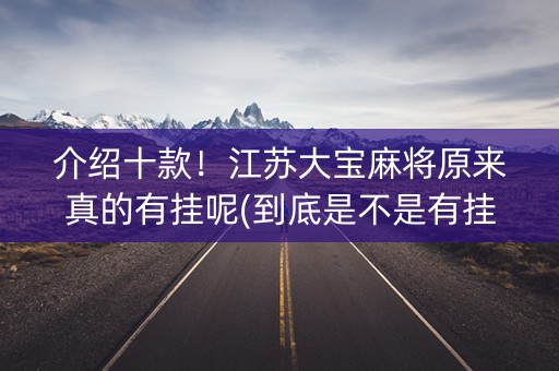 介绍十款！江苏大宝麻将原来真的有挂呢(到底是不是有挂)