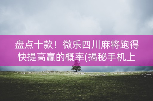 盘点十款！微乐四川麻将跑得快提高赢的概率(揭秘手机上系统发好牌)