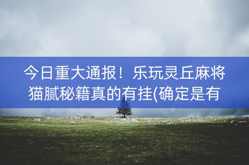 今日重大通报！乐玩灵丘麻将猫腻秘籍真的有挂(确定是有挂)