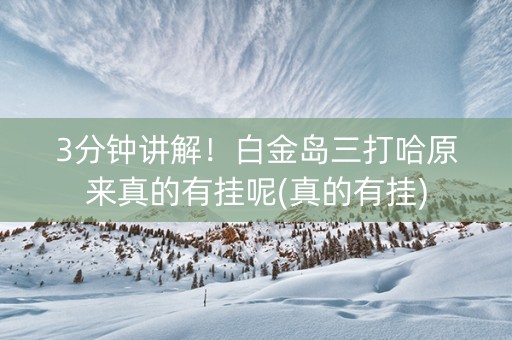 3分钟讲解！白金岛三打哈原来真的有挂呢(真的有挂)