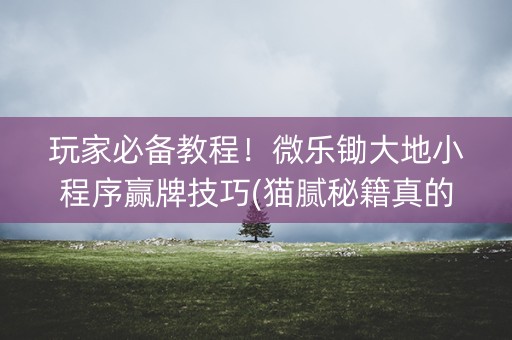 玩家必备教程！微乐锄大地小程序赢牌技巧(猫腻秘籍真的有挂)