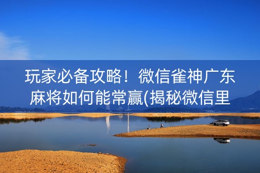 玩家必备攻略！微信雀神广东麻将如何能常赢(揭秘微信里输赢规律)