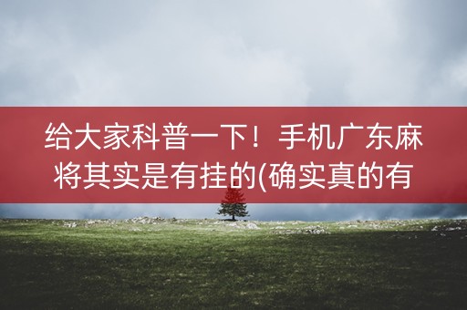 给大家科普一下！手机广东麻将其实是有挂的(确实真的有挂)
