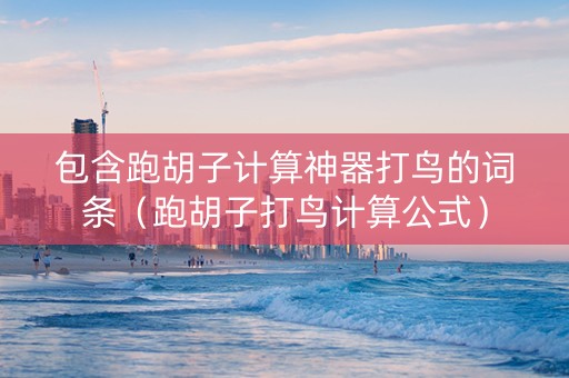 包含跑胡子计算神器打鸟的词条（跑胡子打鸟计算公式）