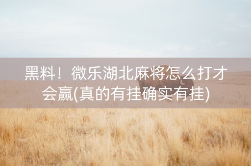 黑料！微乐湖北麻将怎么打才会赢(真的有挂确实有挂)