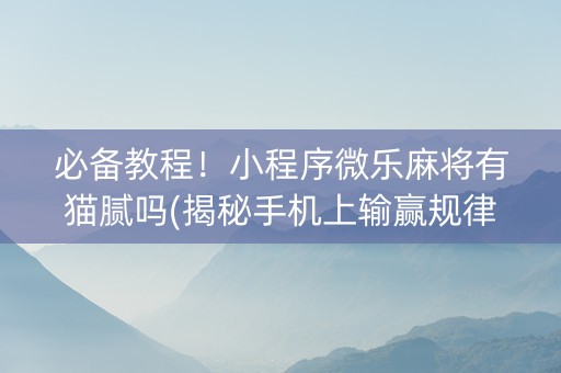 必备教程！小程序微乐麻将有猫腻吗(揭秘手机上输赢规律)