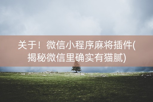 关于！微信小程序麻将插件(揭秘微信里确实有猫腻)