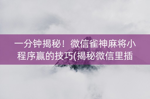 一分钟揭秘！微信雀神麻将小程序赢的技巧(揭秘微信里插件免费)
