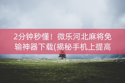 2分钟秒懂！微乐河北麻将免输神器下载(揭秘手机上提高胜率)