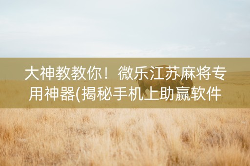 大神教教你！微乐江苏麻将专用神器(揭秘手机上助赢软件)