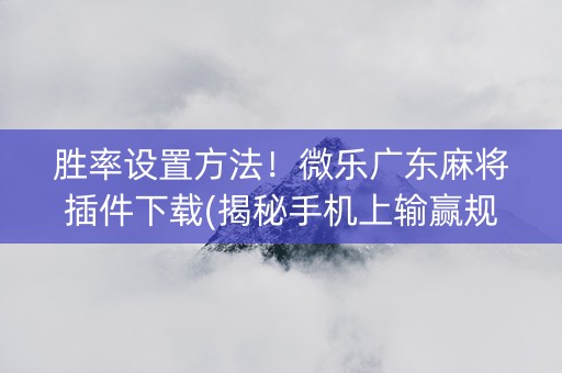 胜率设置方法！微乐广东麻将插件下载(揭秘手机上输赢规律)