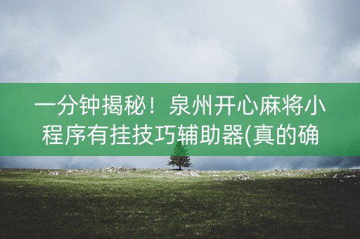 一分钟揭秘！泉州开心麻将小程序有挂技巧辅助器(真的确实是有挂)